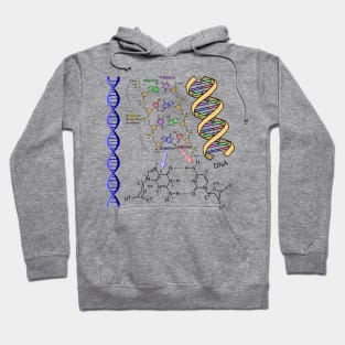 DNA Double Helix Chemical Formula Molecules Science Art Light Background Hoodie